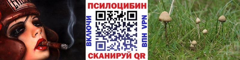 мориарти какой сайт  блэк спрут вход  Псилоцибиновые грибы Magic Shrooms  Новокузнецк  как найти закладки 